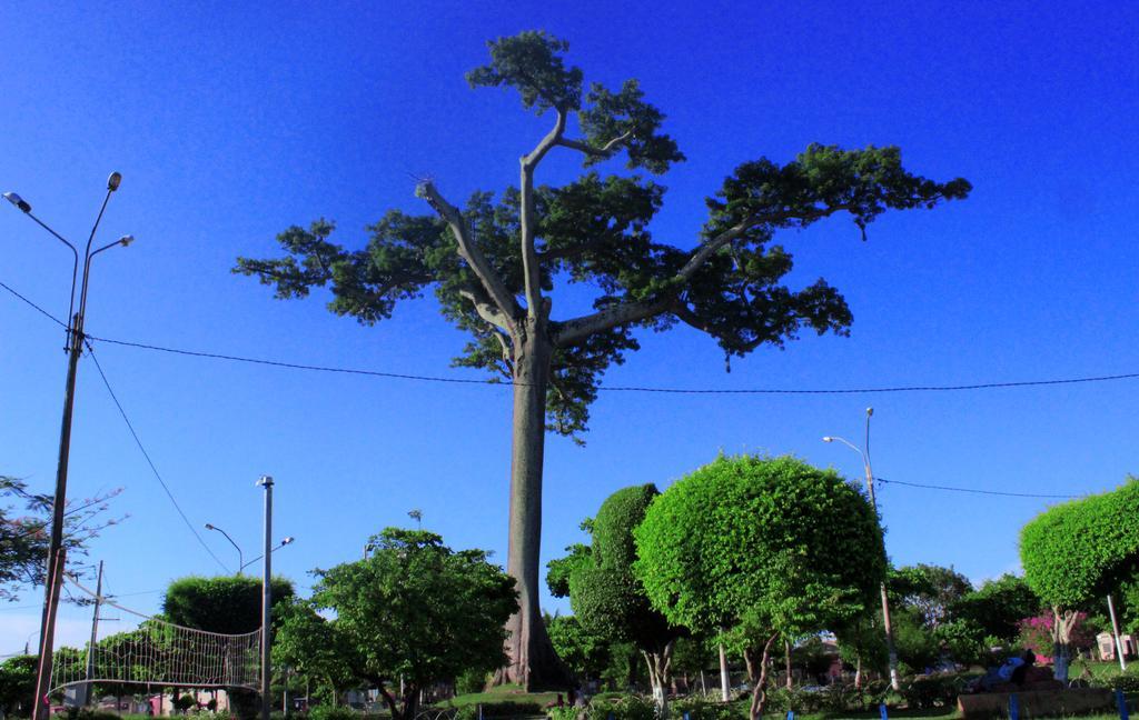 Hotel Sol Del Oriente Pucallpa Dış mekan fotoğraf